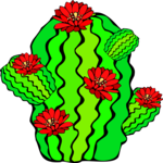 Cactus 61