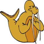 Walrus Clapping