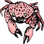 Crab 04