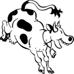 Cow Kicking