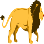 Lion 02