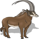 Ibex 4