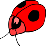 Ladybug 4