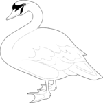 Goose 04