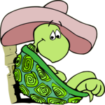 Turtle in Sombrero