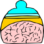 Specimen - Brain