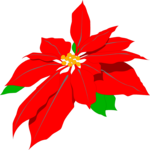 Poinsettia 1