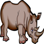 Rhino 07