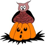Pumpkin & Owl