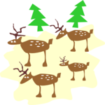 Reindeer 13