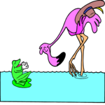 Flamingo & Frog