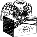 Owl - Paisley