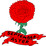 09 September - Aster