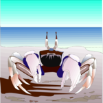 Crab 18