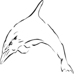 Dolphin 1