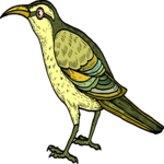 Bird 084
