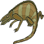 Chameleon 8
