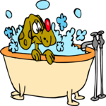 Dog Bathing 6