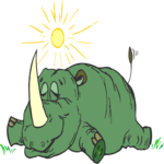 Rhino Sunbathing