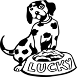 Dalmatian - Lucky