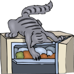 Cat in Refrigerator