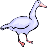 Goose 09