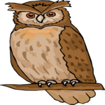 Owl 32