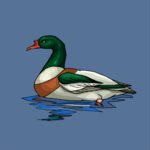 Duck 32
