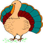 Turkey 12