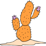Cactus 67