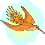 Hummingbird 14