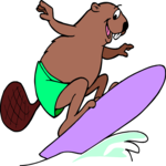 Surfer - Beaver