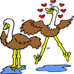 Birds in Love 4