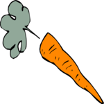 Carrot 22