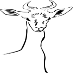 Antelope 14
