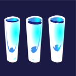 Shot Glasses