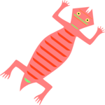 Lizard 4