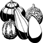 Gourds - Decorative