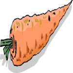 Carrot 30