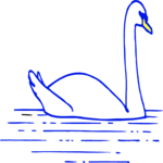 Swan 11