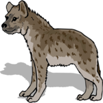 Hyena 7