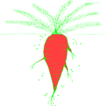 Carrot 32