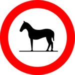 Horse Crossing 4