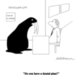Walrus - Dental Plan