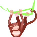 Monkey Swinging from Tree