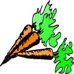 Carrots 06