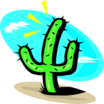 Cactus 27