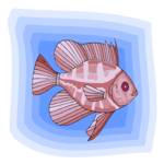 Fish 152