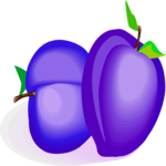 Plums 2