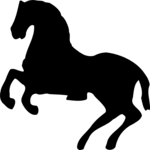 Horse 6